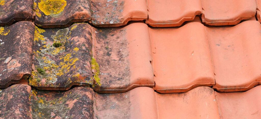 démoussage toiture Wallers